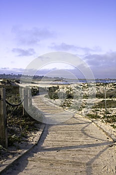 Railing and boardwalk over sand dunes