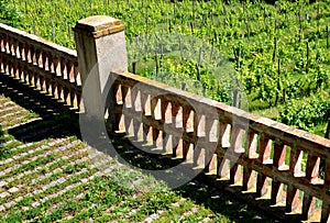 railing fencing rest area above the vineyard using red bricks creates a regular airy grid paving in stripes overgrown with lawn