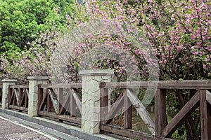 Railing and sidewalk in spring