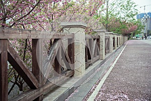 Railing and sidewalk in spring