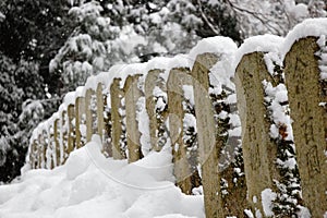 Railing in snow