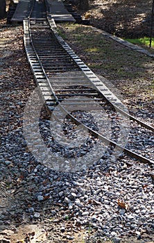 Railriad tracks in the forest