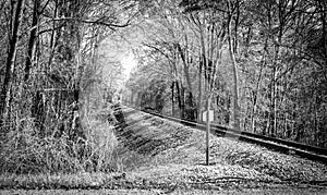 Railroad in Black and White in Selma Alabama photo