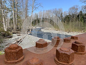 Railroad Bridge Trail in Sequim, WA