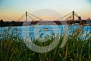 Railroad cable bridge over Sava river at golden hour in Belgrade