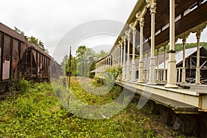 Railroad cars on overgrown tracks