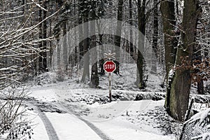 Railroad crossing with a mark on a snowy forest road