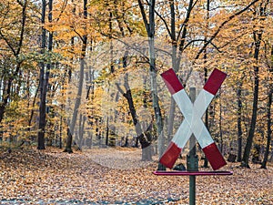 Railroad Crossing Sign in the woods with autumn leaves