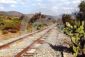 Railroad near teotihuacan mexico II photo