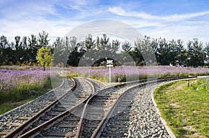 Railroad junction photo