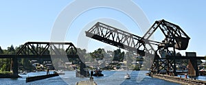 Ballard Ship Locks, Seattle, WA photo