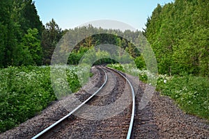 Railroad among nature