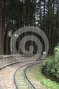 Railroad with nobody in forest of Alishan National Scenic Area