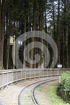 Railroad with nobody in forest of Alishan National Scenic Area