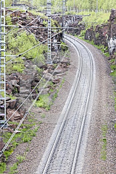 The railroad passing through wood