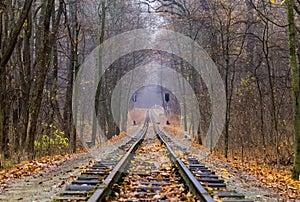 Railroad single track through the woods in autumn. Fall landscape. red semaphore signal