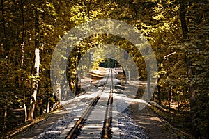 Railroad single track through the woods in autumn. Fall landscape. red semaphore signal, sunlight