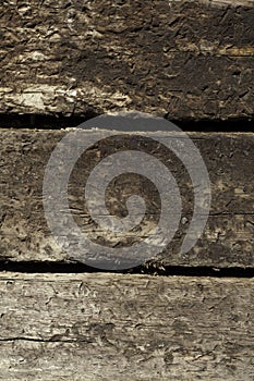 Railroad ties background