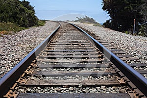 Railroad ties and track surrounded by shrubbery