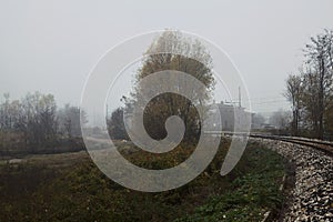 Railroad track on an embankment next to trees on a foggy day in autumn