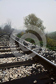 Railroad track on an embankment next to trees on a foggy day in autumn