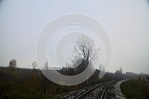 Railroad track on an embankment next to trees on a foggy day in autumn
