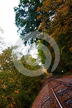 Railroad track through fall woods