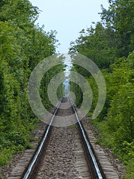 Railroad track forest infinity