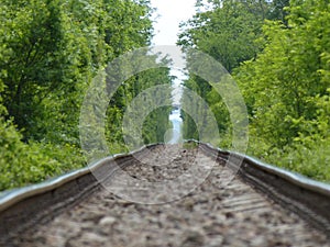 Railroad track forest infinity