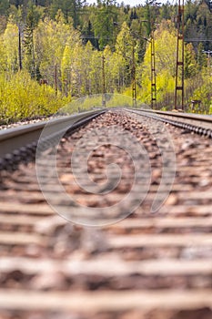 Railroad track between green trees leading to the horizon. Selective focus