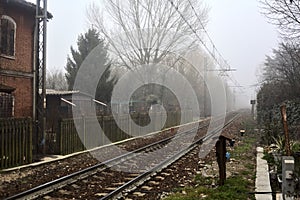 Railroad track passing in a park on a foggy day