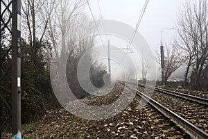 Railroad track passing in a park on a foggy day