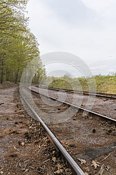 Railroad Track Scenic