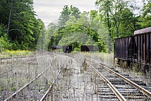 Railroad Tracks