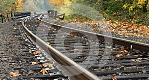 Railroad tracks during Autumn