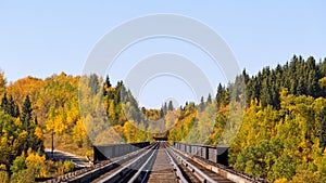 Railroad tracks through autumn forest
