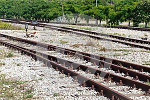 railroad tracks . background or texture