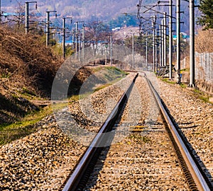 Railroad tracks in the country