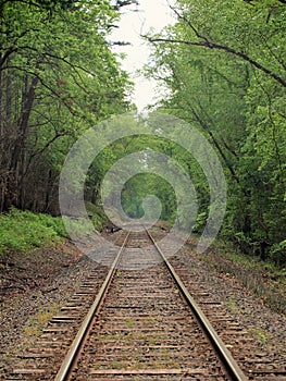 Railroad Tracks Crossing at Pilot Mountain State Park