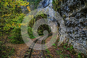 Railroad tracks cut through autumn woods