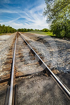 Railroad Tracks disappearing Into the Distance