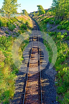 Railroad Tracks into Distance