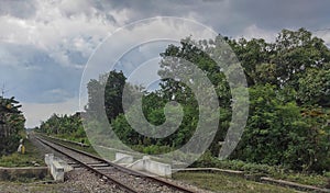 railroad tracks on the edge of the forest