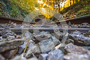 Railroad tracks in the fall