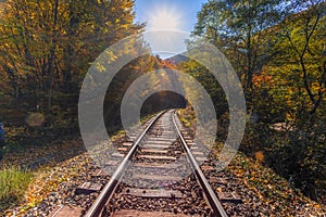 Railroad tracks in the fall