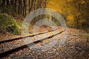 Railroad Tracks in the Fall