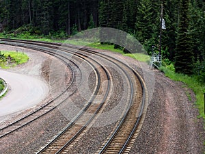 Railroad tracks in the forest