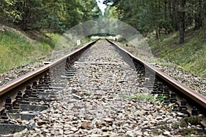 Railroad Tracks in the Forest