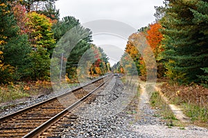 Railroad tracks through a forest on an overcast autumn day