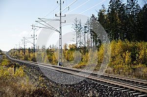 Railroad tracks in a golden landscape